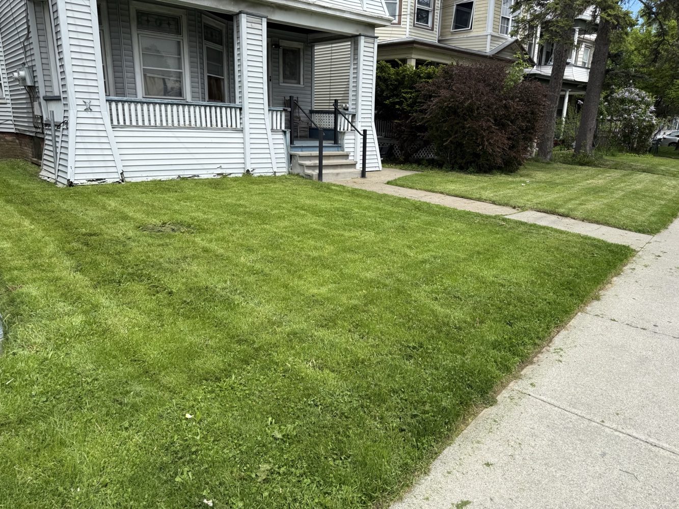 Freshly mowed lawn in front of a residential property