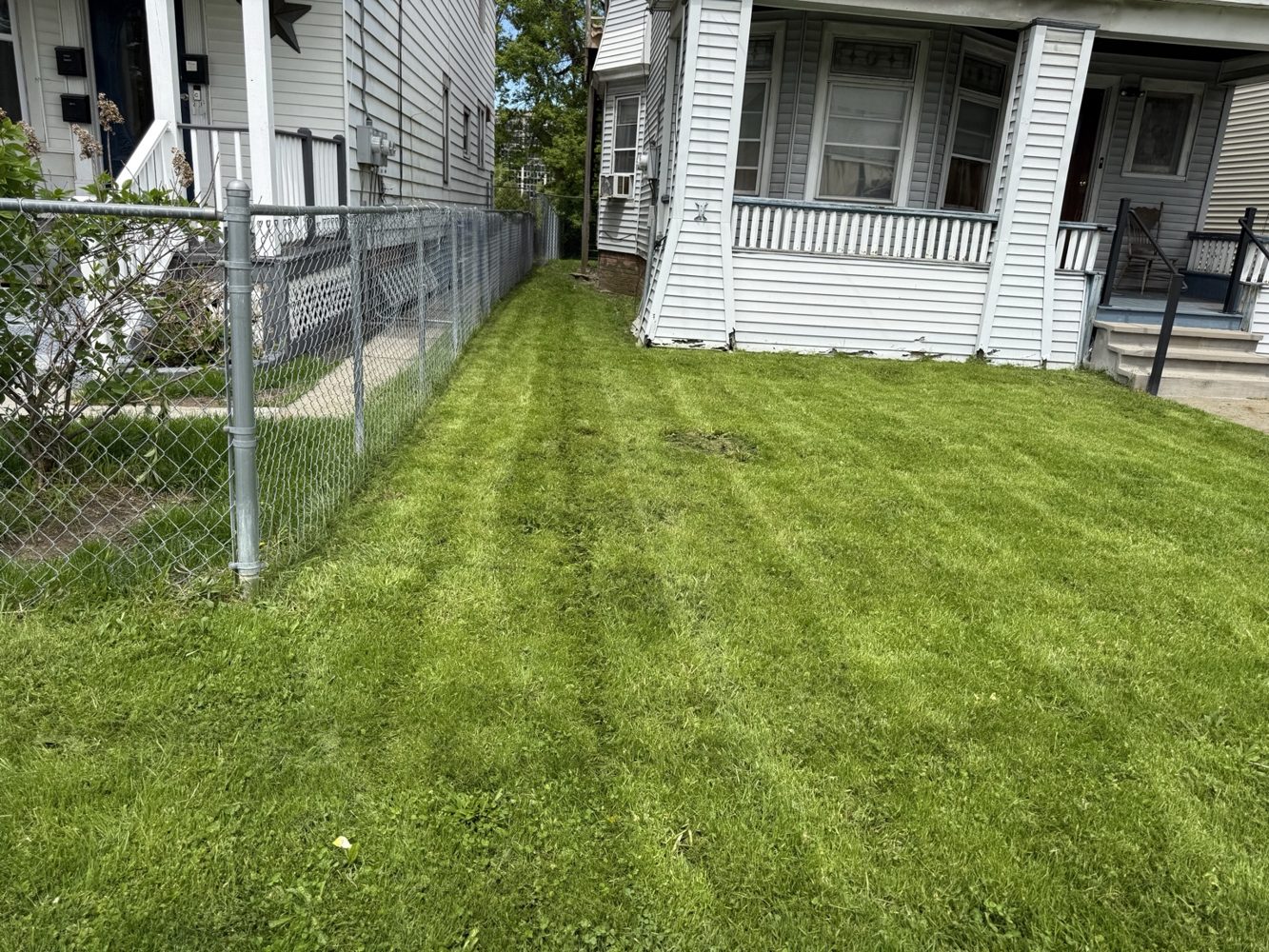 Mowed side yard along fence